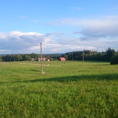 LIFE Viva Grass: Study tour to Latvia and Estonia - learning about organic farming 