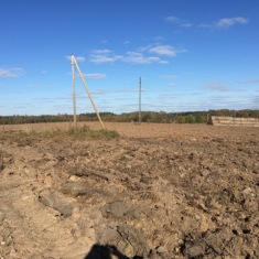 Field in farm “Šovītes”