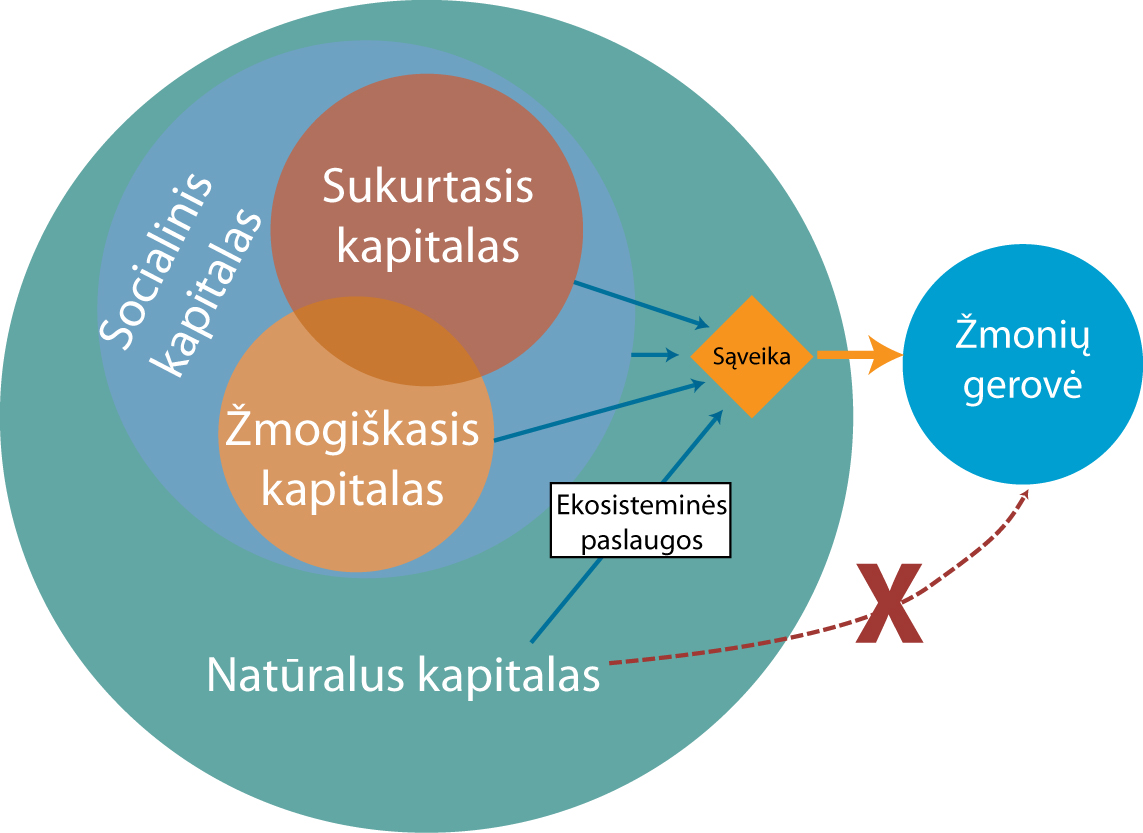 kompromiso analizės ekosistemos paslaugos)
