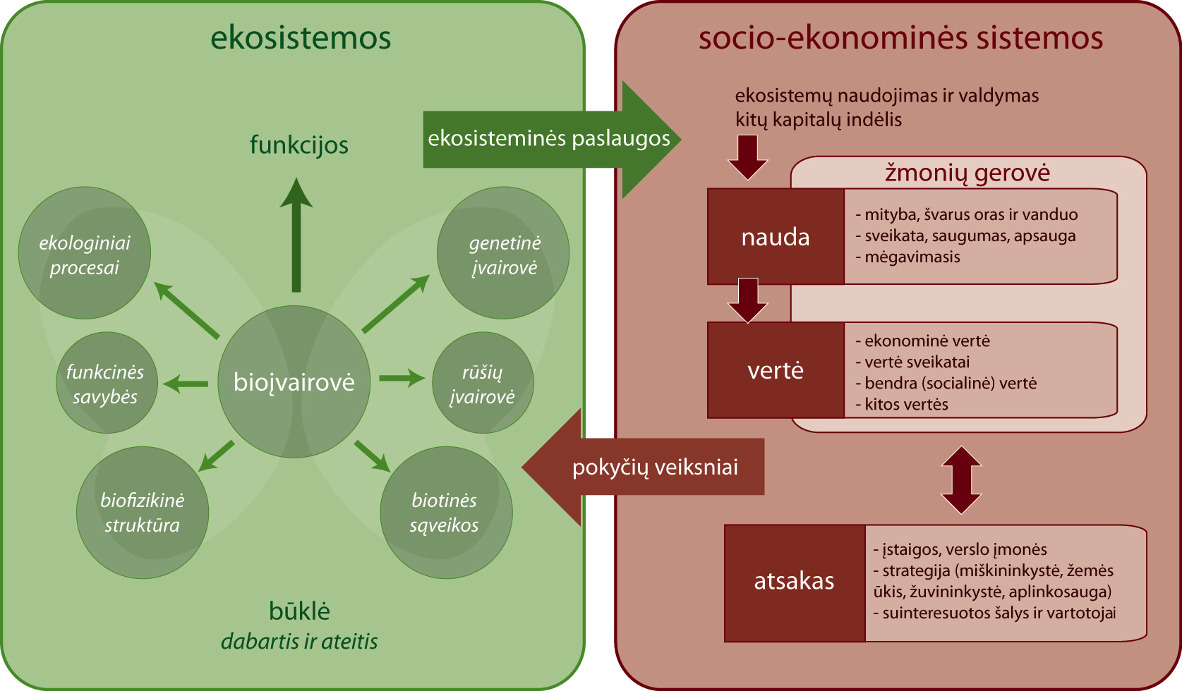 kompromiso analizės ekosistemos paslaugos namų darbas siūlo neapolis